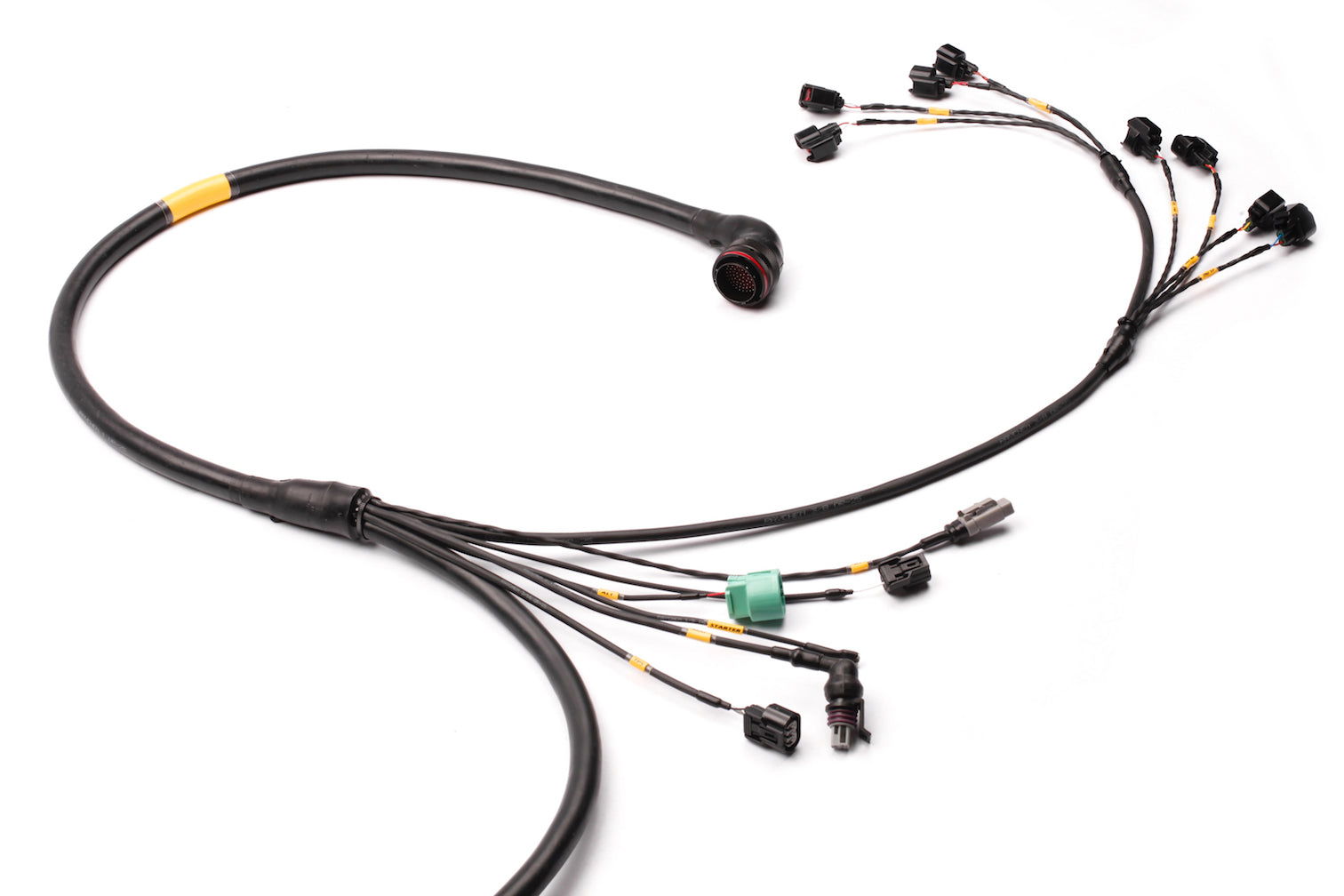 Race Spec Wire Looms