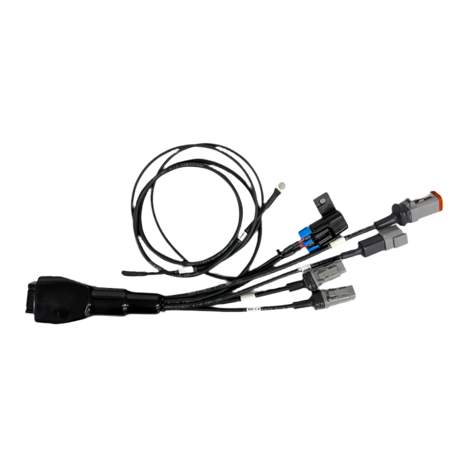 Race Spec® Haltech IO16 Starter Loom