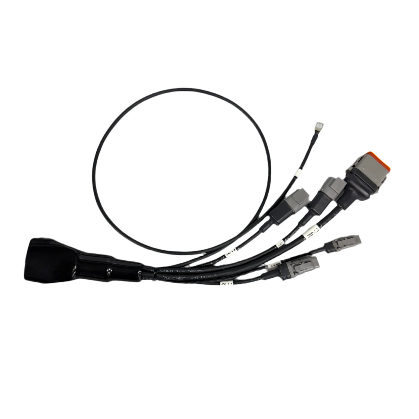 Race Spec® Haltech PD16 Starter Loom