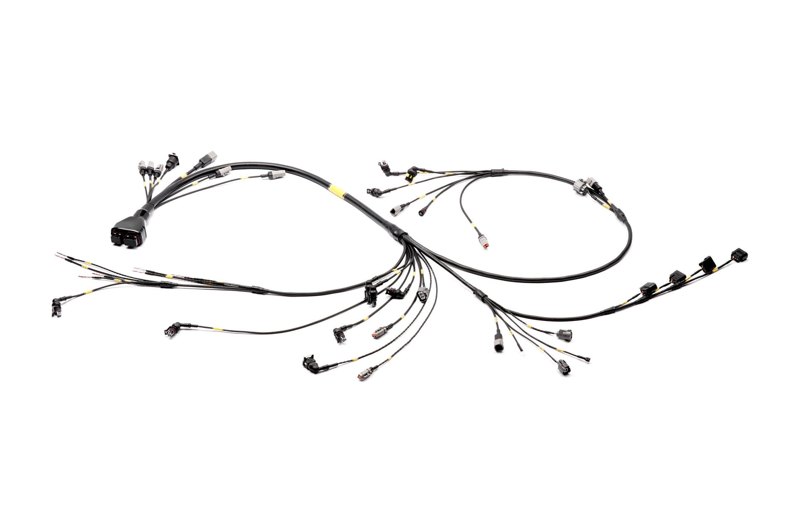 Wire Looms - Race Spec Honda B-Series PRO Loom